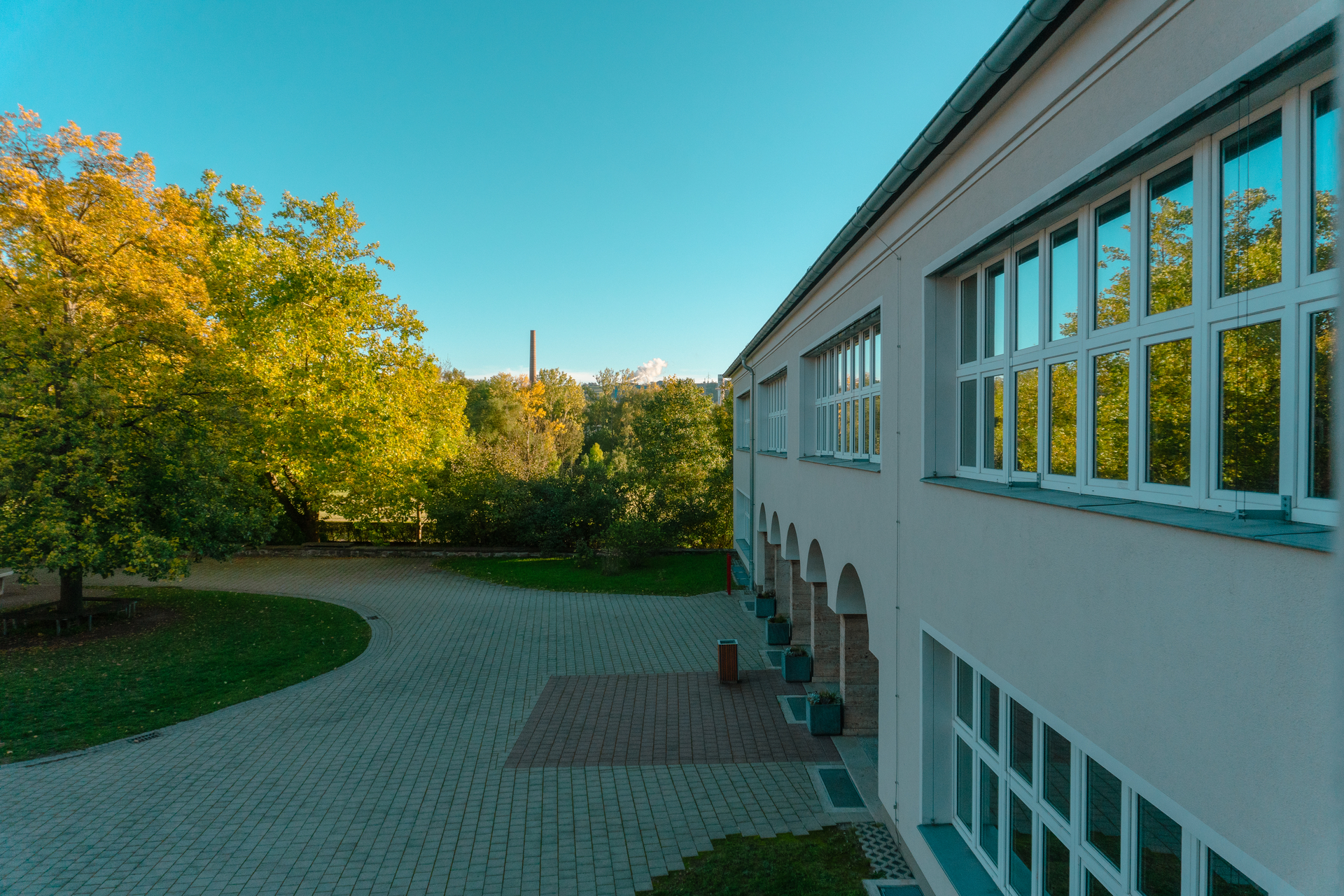 Bild der Galerie