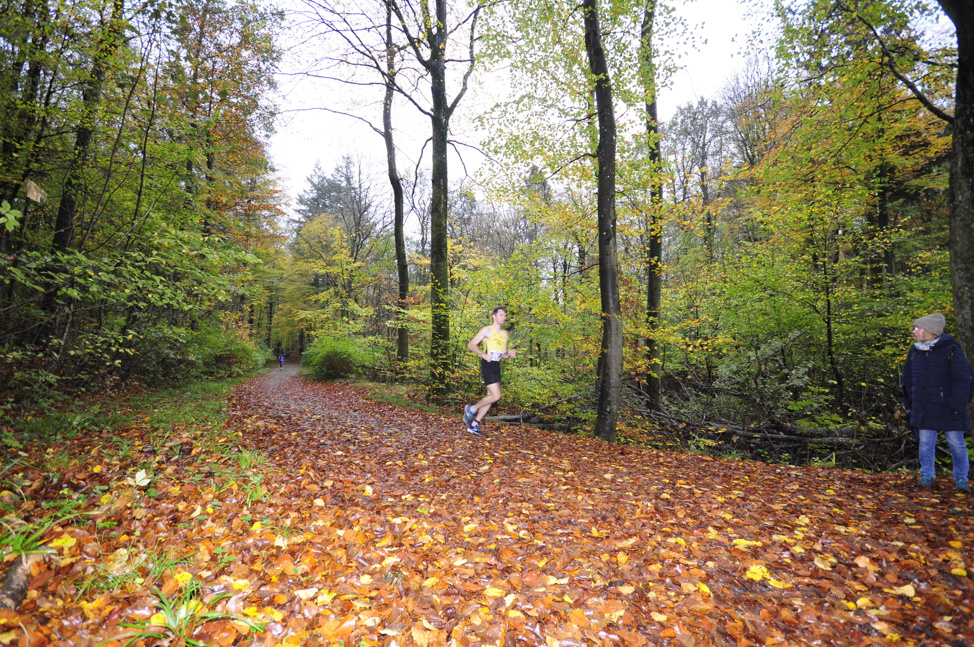 Foto der Galerie: 41. Tiergarten Crosslauf-03