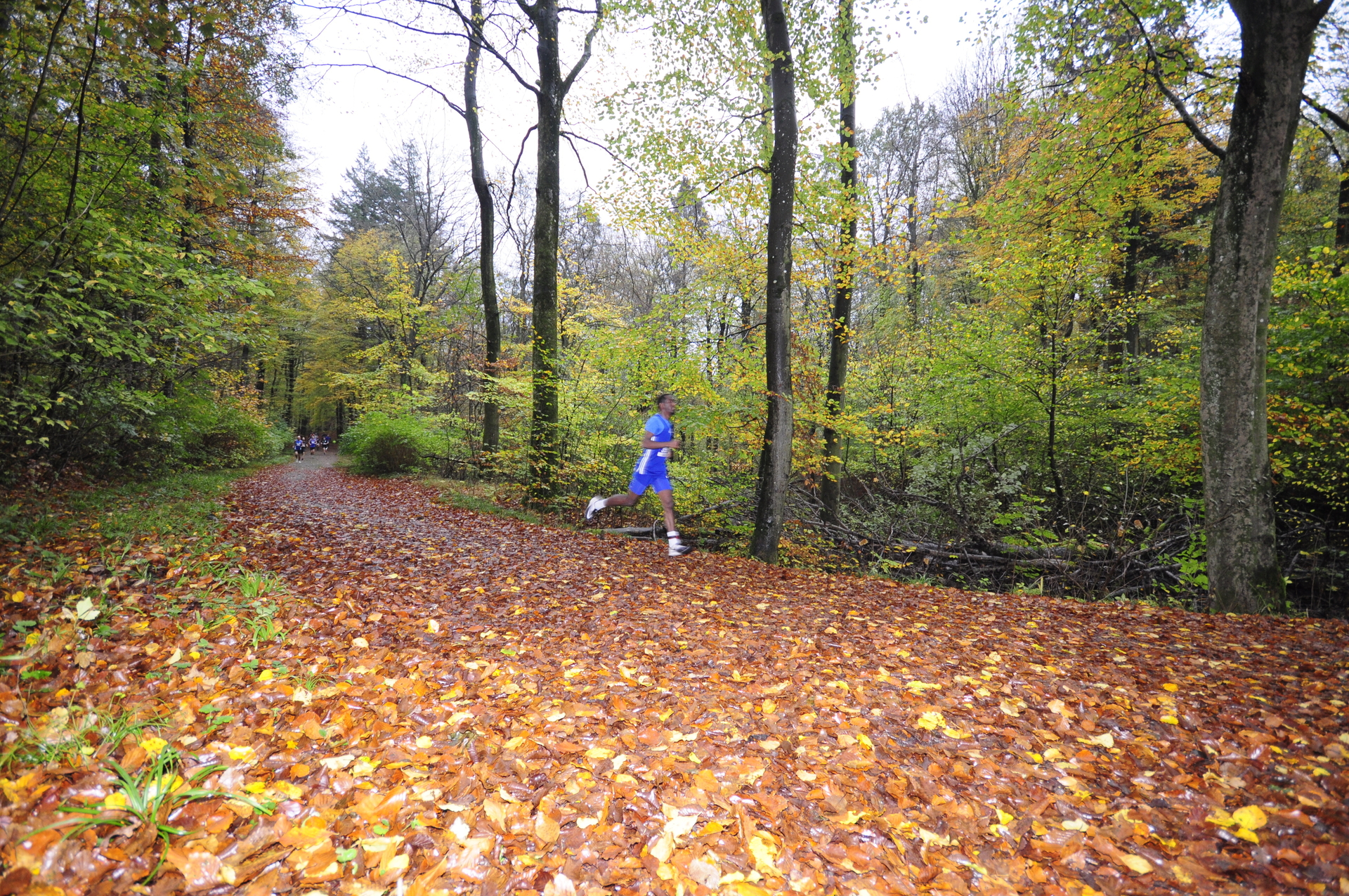 Foto der Galerie: 41. Tiergarten Crosslauf-03