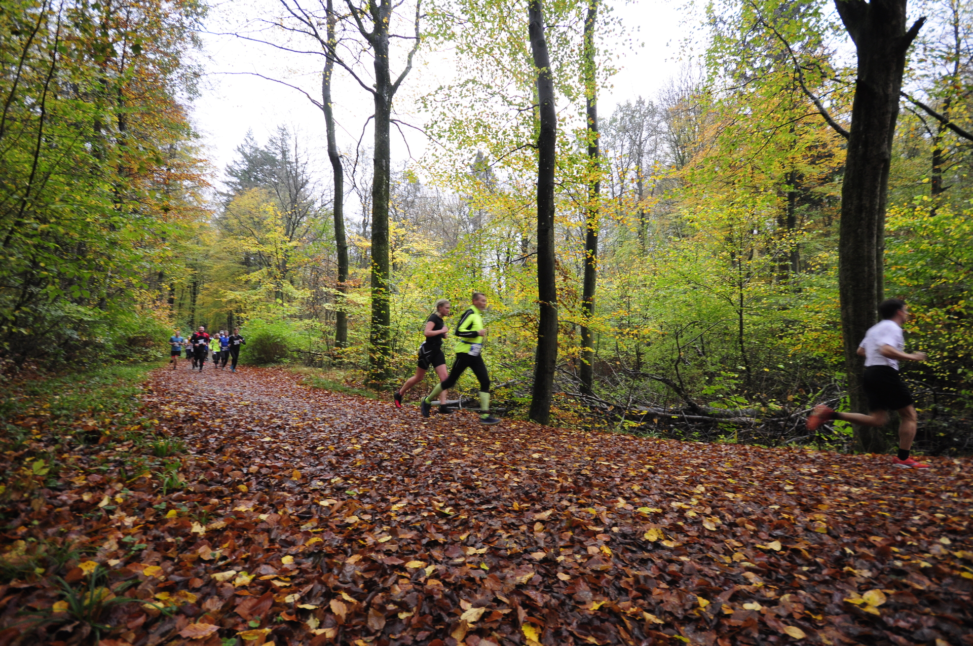 Foto der Galerie: 41. Tiergarten Crosslauf-03