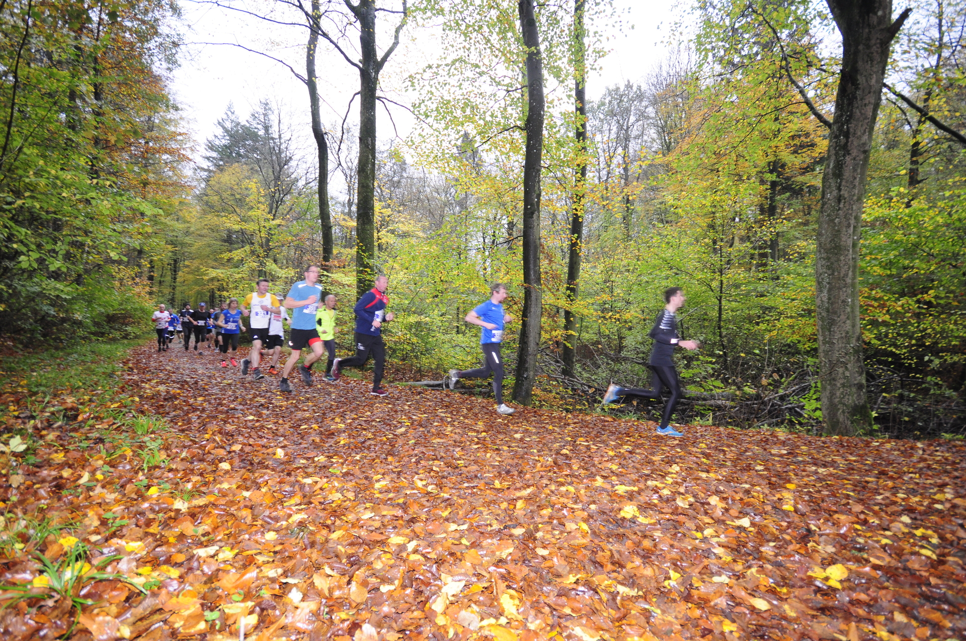 Foto der Galerie: 41. Tiergarten Crosslauf-03