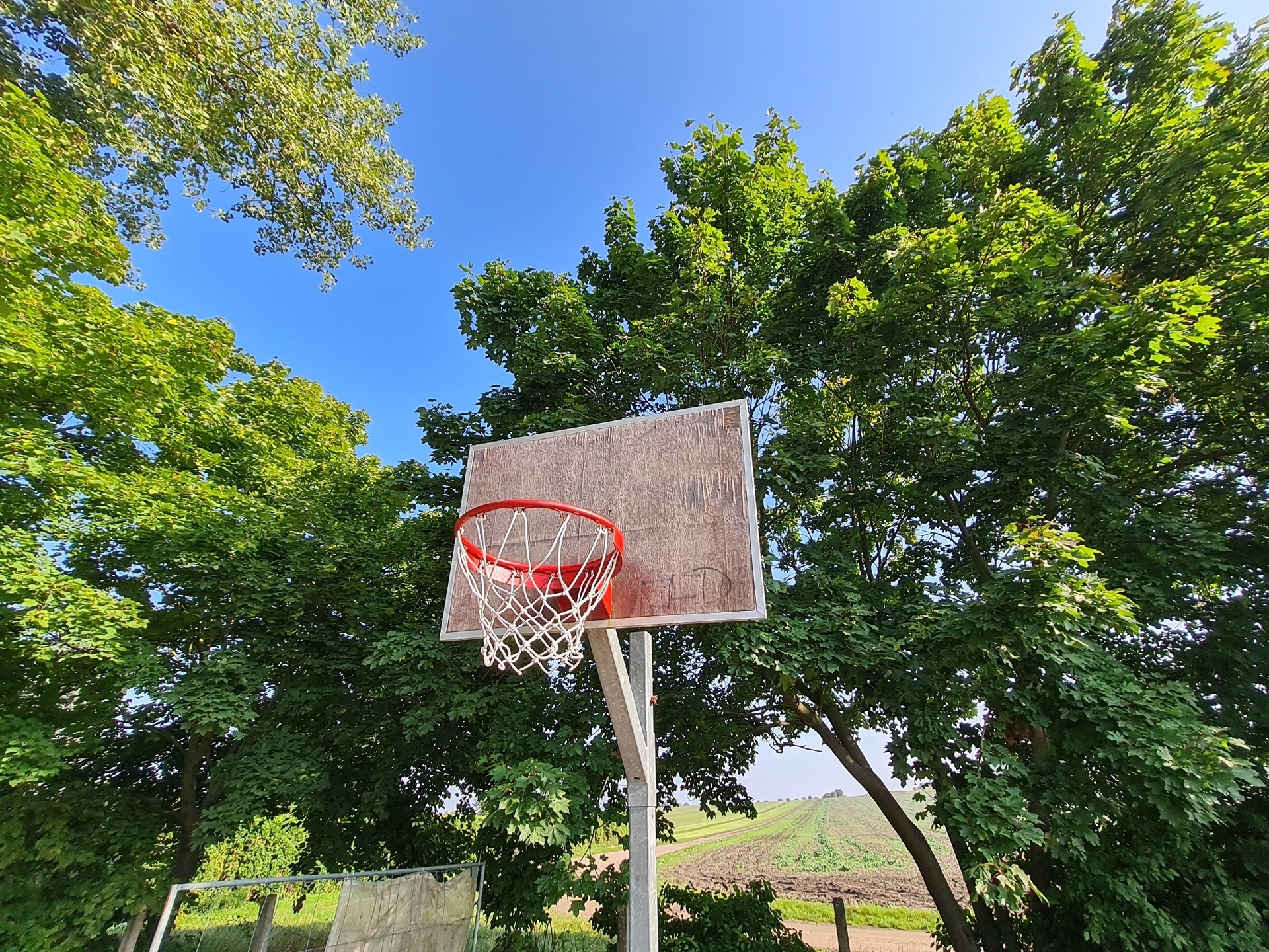 Bild: Basketball