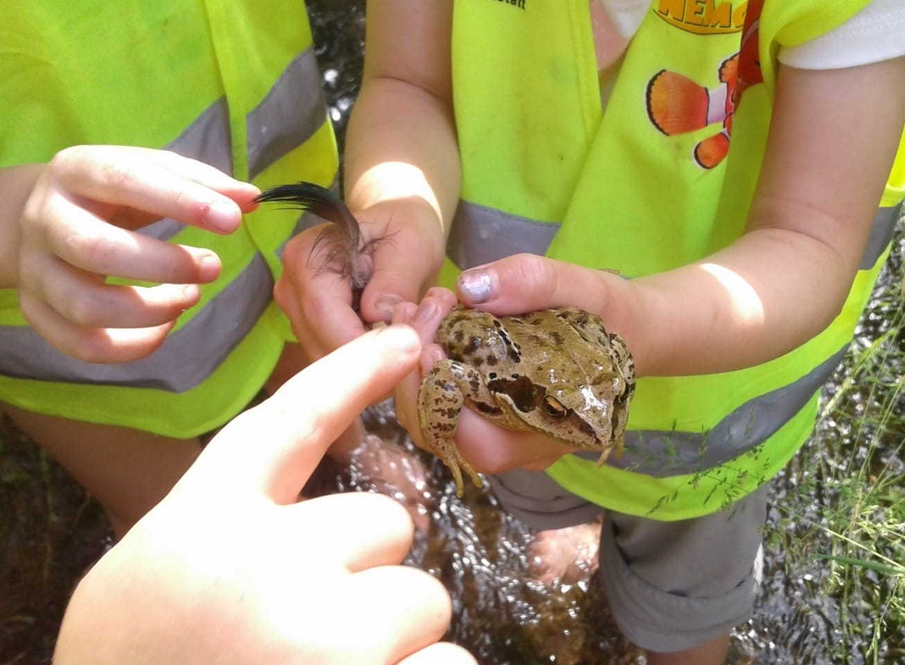 Bild: Küss den Frosch :-)