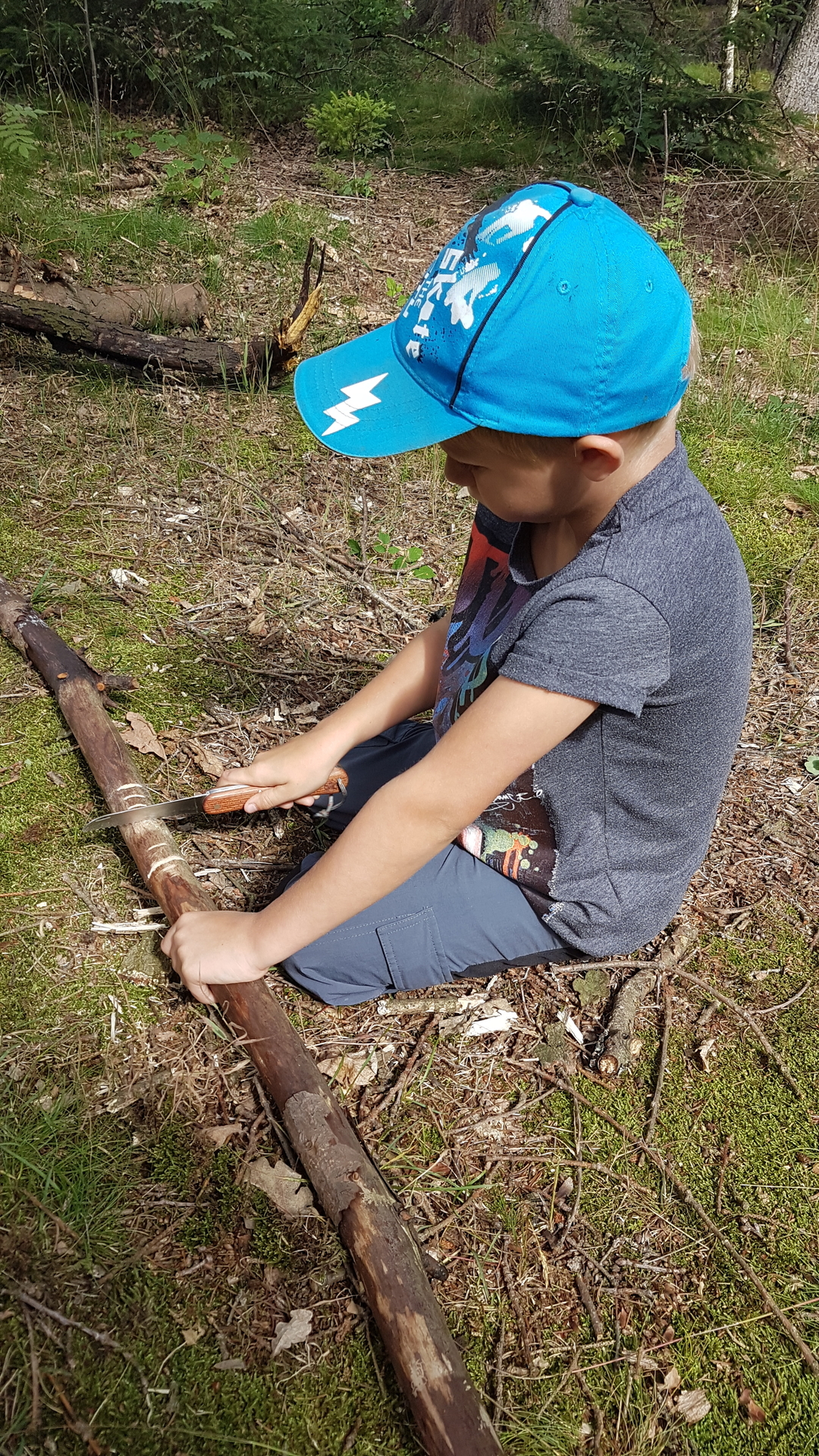 Bild: Werkeln im Wald
