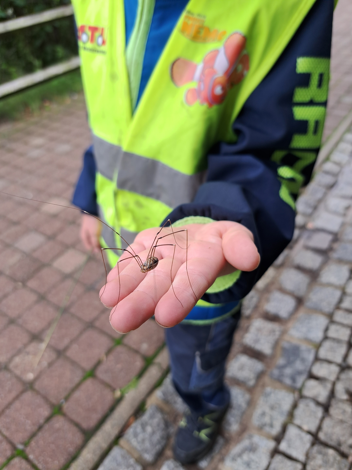Bild: Keine Angst vor wilden Tieren