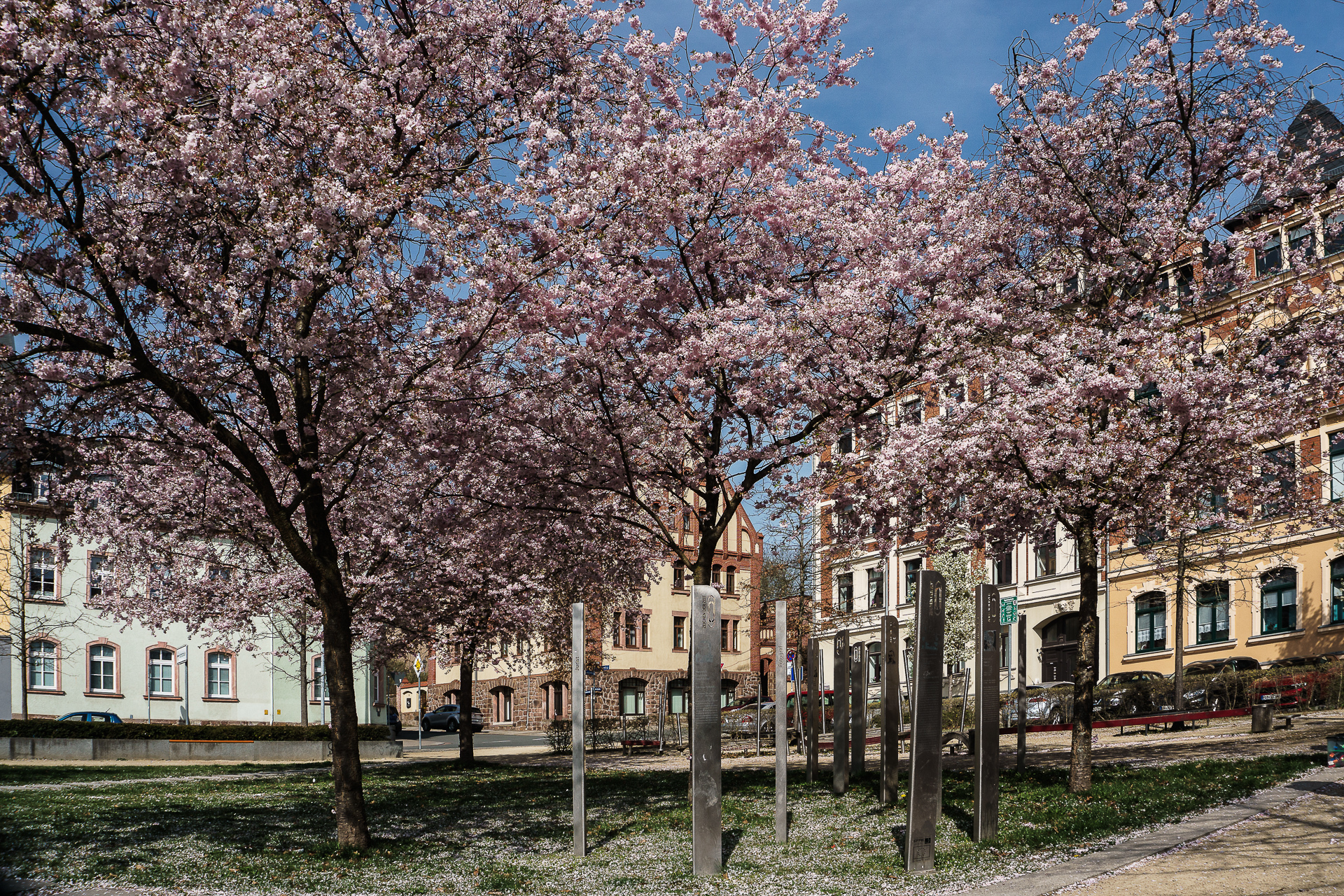 Luzia Tittel - Tschnirnerplatz im Fr&uuml;hling  (Bild vergr&ouml;&szlig;ern)