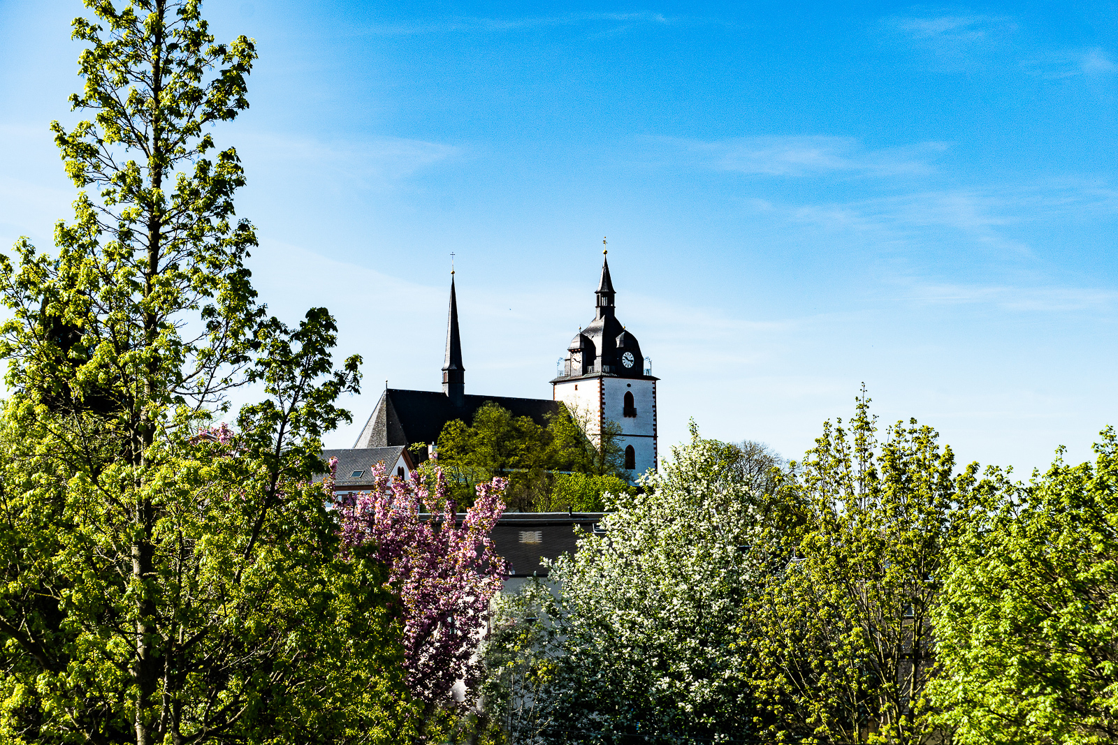 Luzia Tittel - Stadtkirche 02  (Bild vergr&ouml;&szlig;ern)
