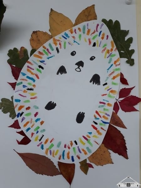 Igel im Laubhaufen_3  (Bild vergr&ouml;&szlig;ern)