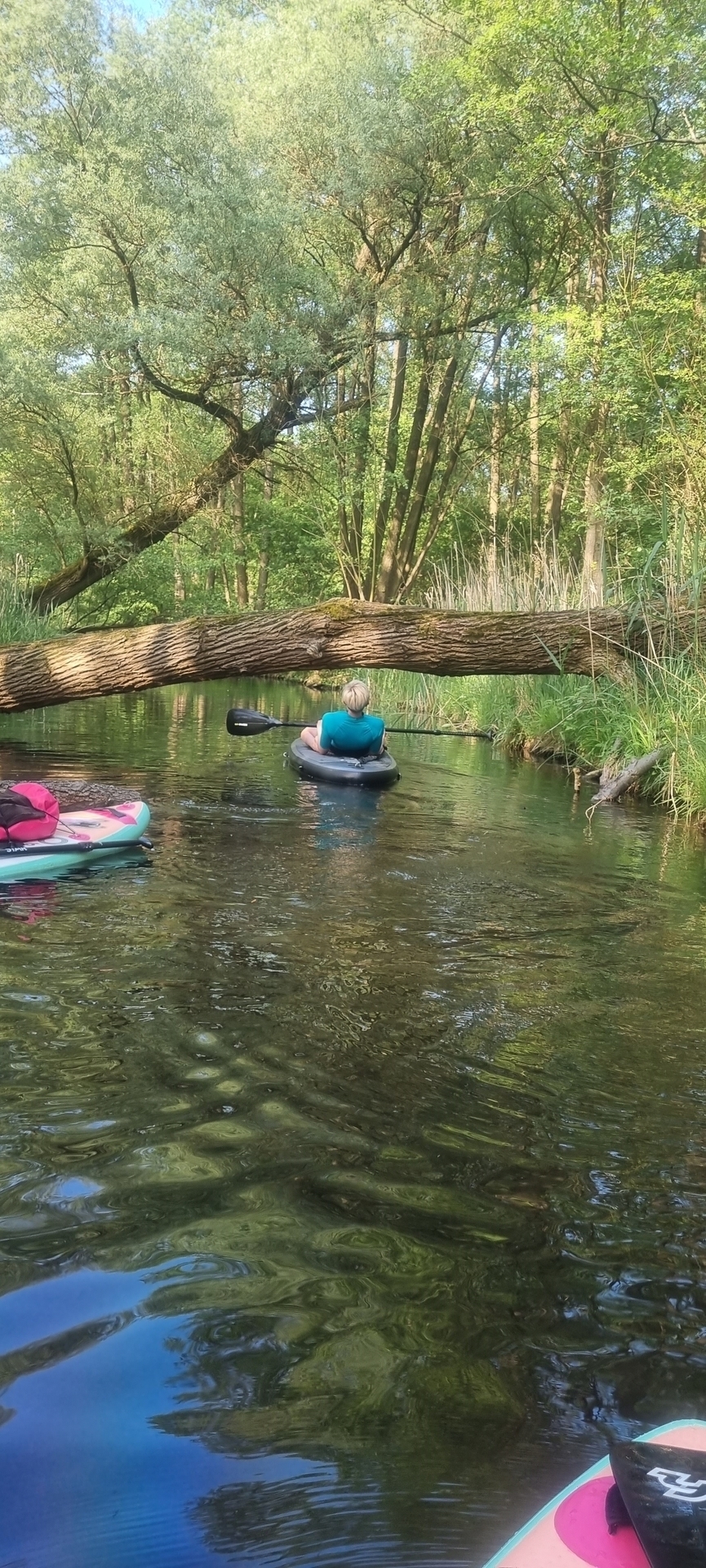 Bild: Limbo auf der Schwanenhavel