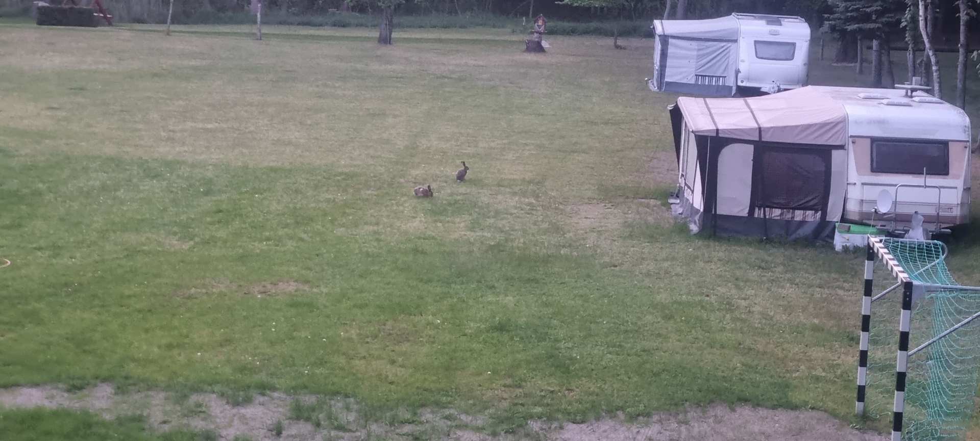 Bild: Besuch auf der Zeltwiese