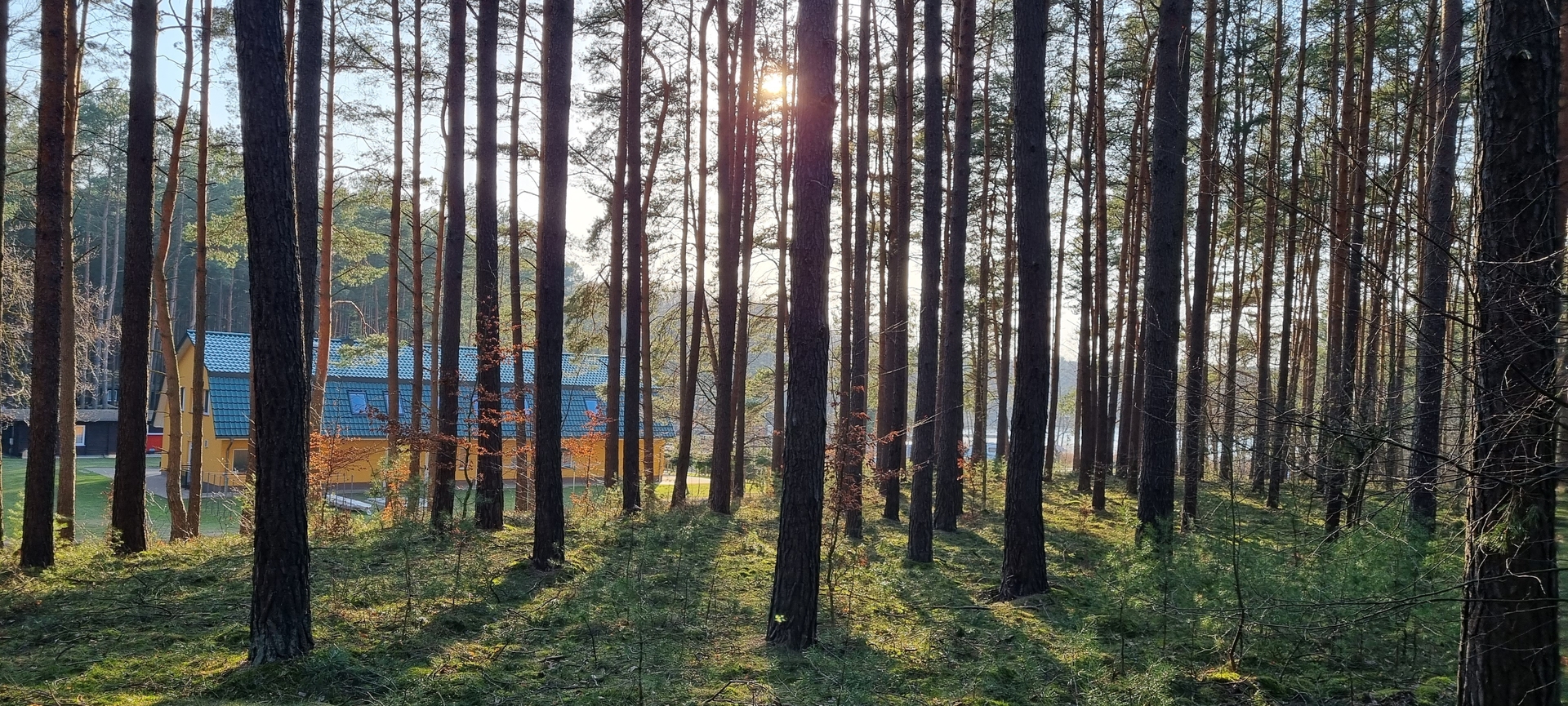 Bild: Blick zum Sozialgebäude