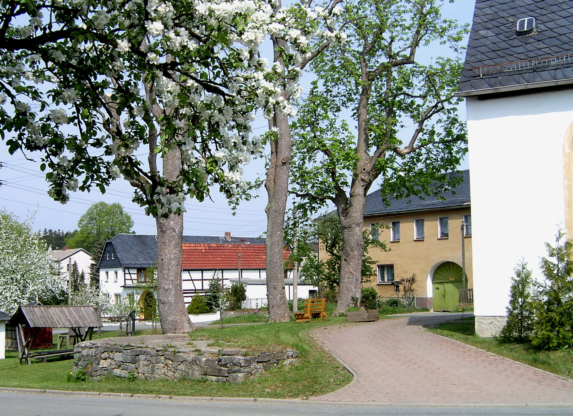 Bild der Galerie
