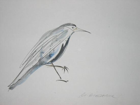 Bild: Marek Bieganik - Vogel