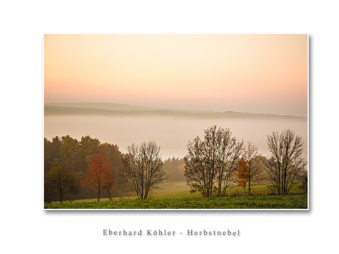 Rahmen 6  (Bild vergr&ouml;&szlig;ern)