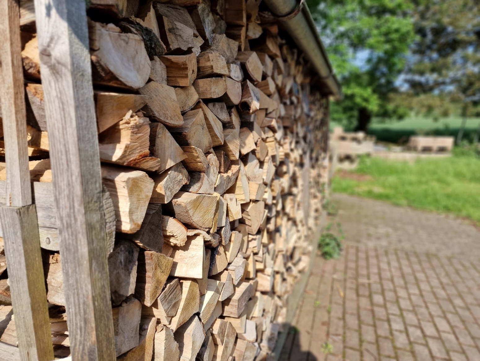 Bild: gehacktes Holz