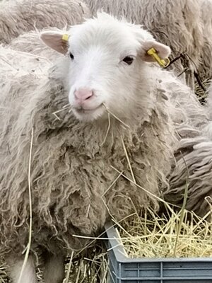 Vorschaubild: 2023-01-03 Skudden-Kind 133748