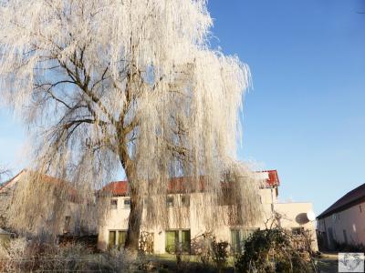 Vorschaubild: Winterstimmung hinterm Urlauberhaus Dezember 2016