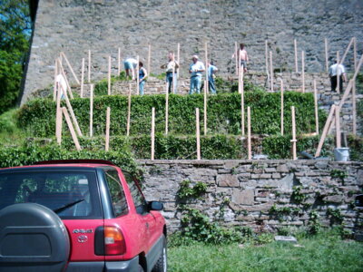 Vorschaubild der Galerie