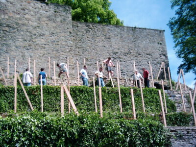 Vorschaubild der Galerie