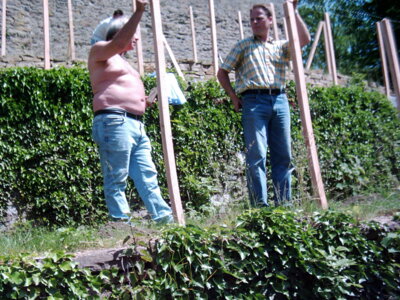 Vorschaubild der Galerie