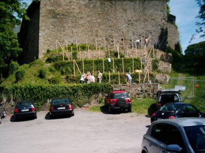 Vorschaubild der Galerie