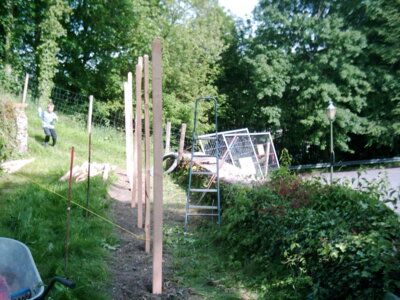 Vorschaubild der Galerie