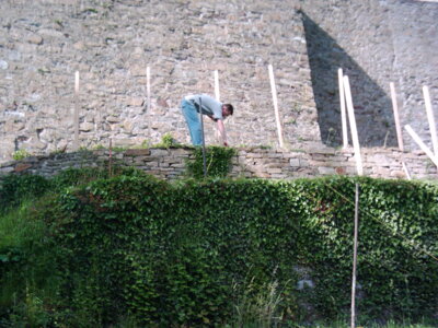 Vorschaubild der Galerie
