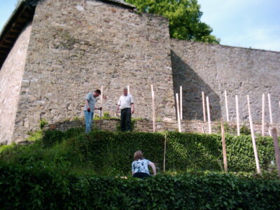 Vorschaubild der Galerie