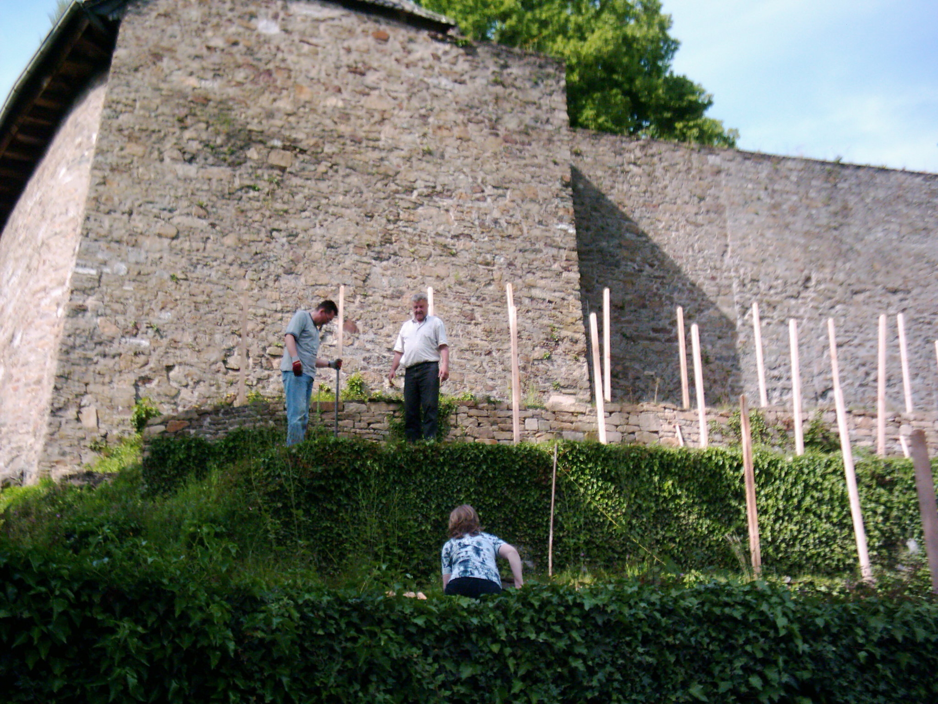 Bild der Galerie