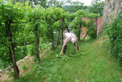 Vorschaubild der Galerie