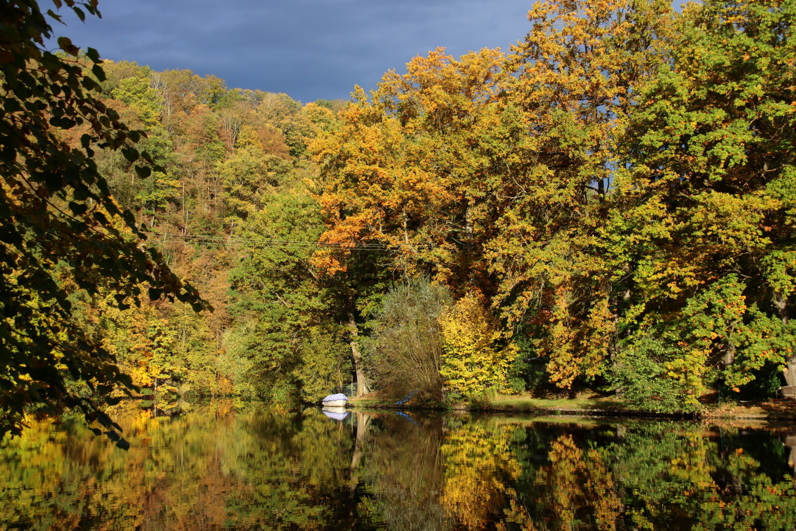 An der Zschopau  (Bild vergr&ouml;&szlig;ern)