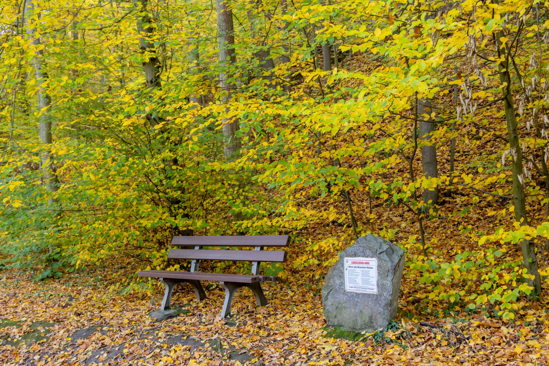 Eberhard K&ouml;hler - Am Wegesrand  (Bild vergr&ouml;&szlig;ern)