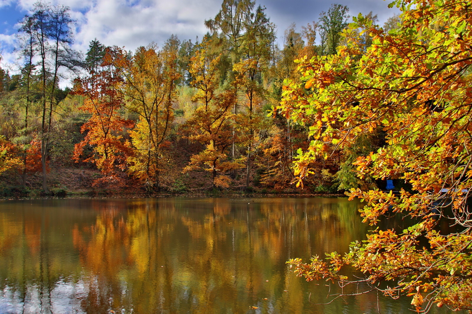 Herbstfarben  (Bild vergr&ouml;&szlig;ern)