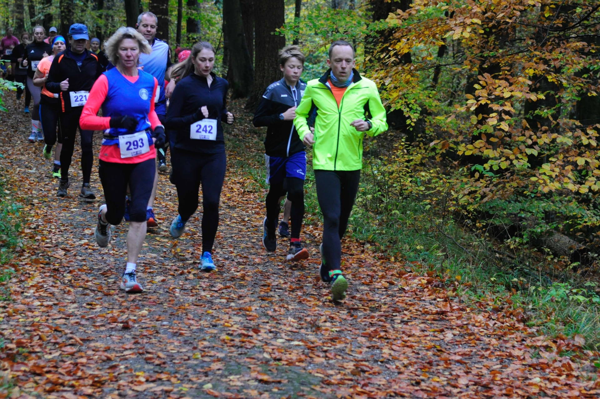 Foto der Galerie: 42. Tiergarten Crosslauf-01