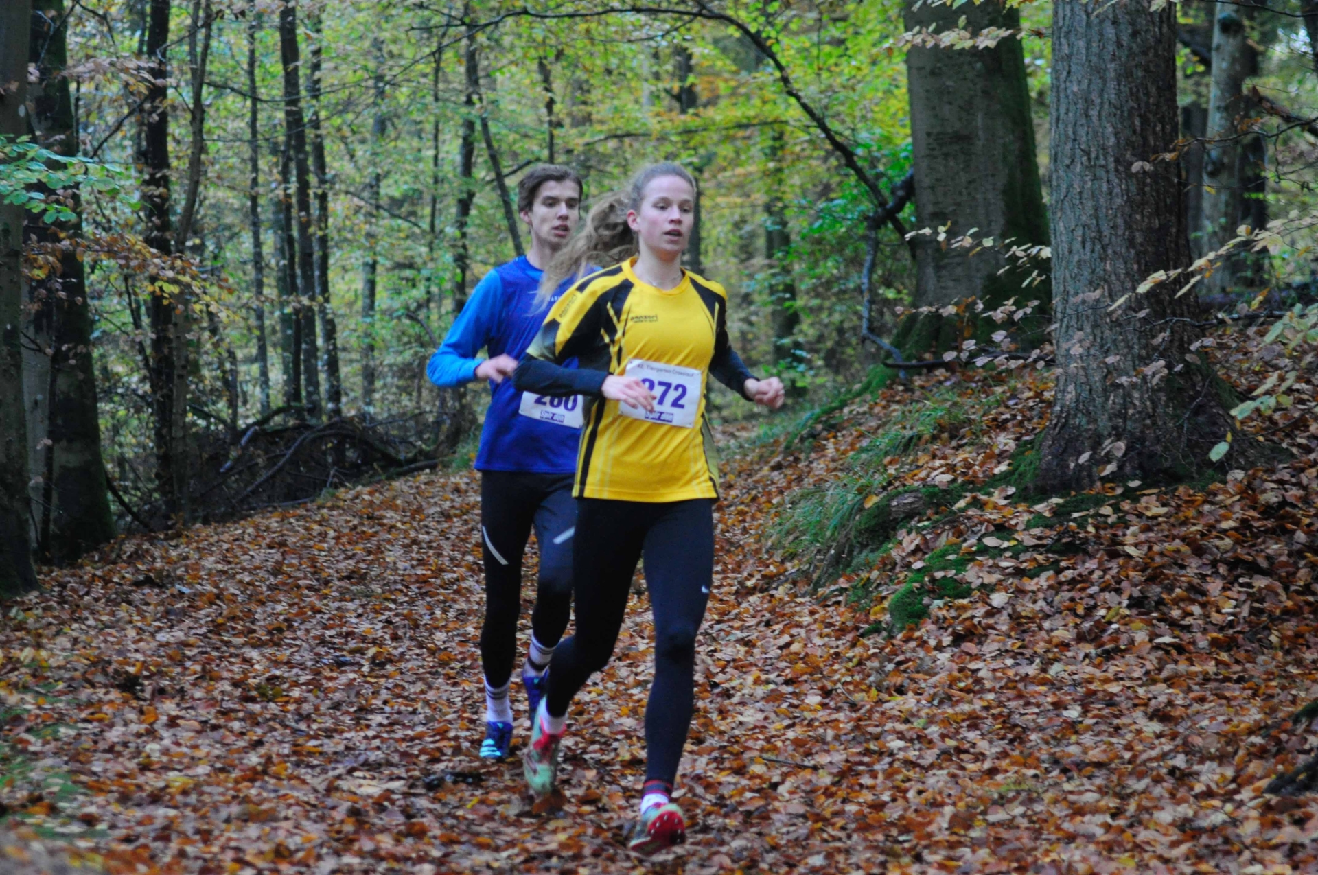 Foto der Galerie: 42. Tiergarten Crosslauf-01