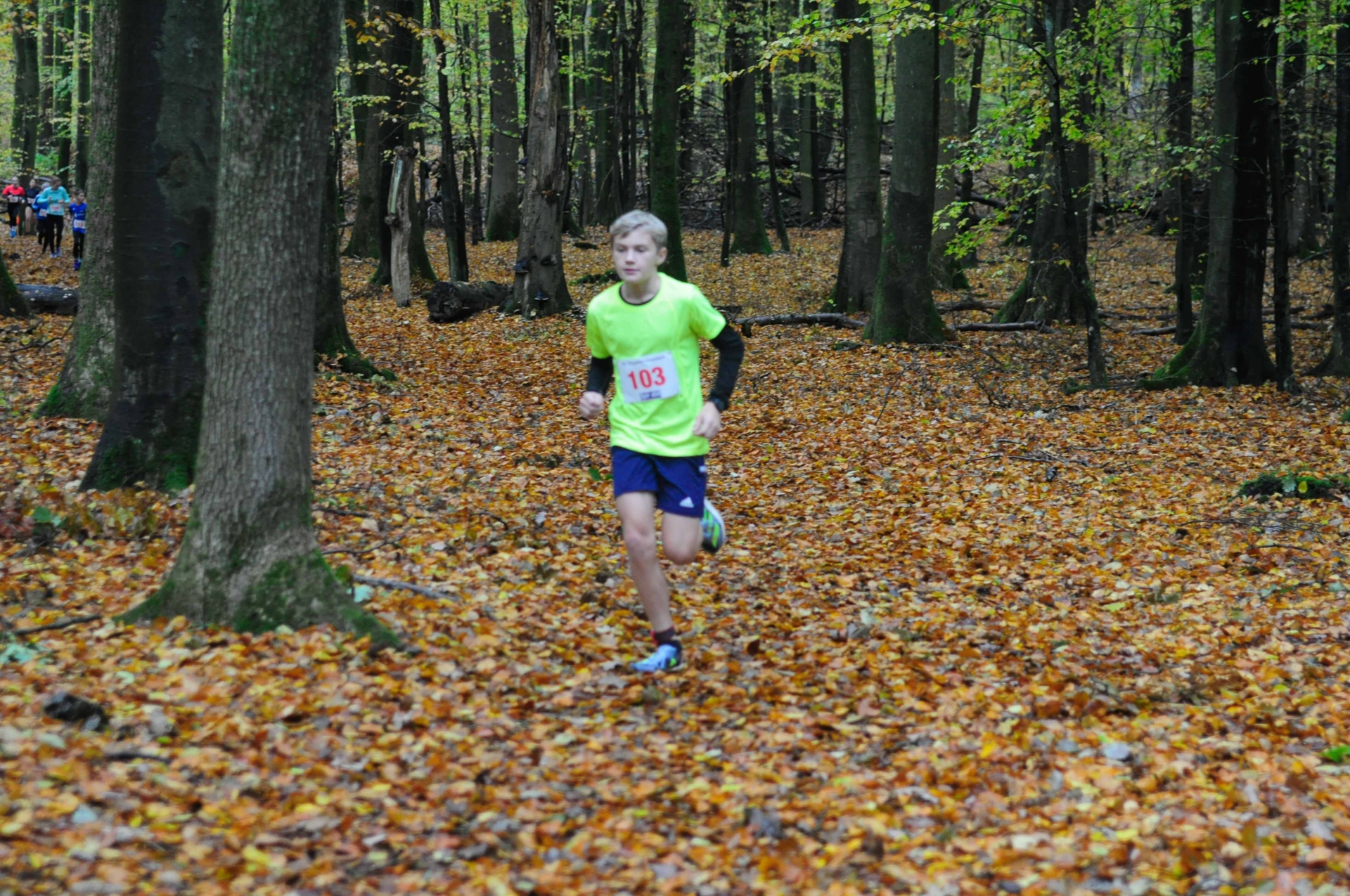 Foto der Galerie: 42. Tiergarten Crosslauf-01