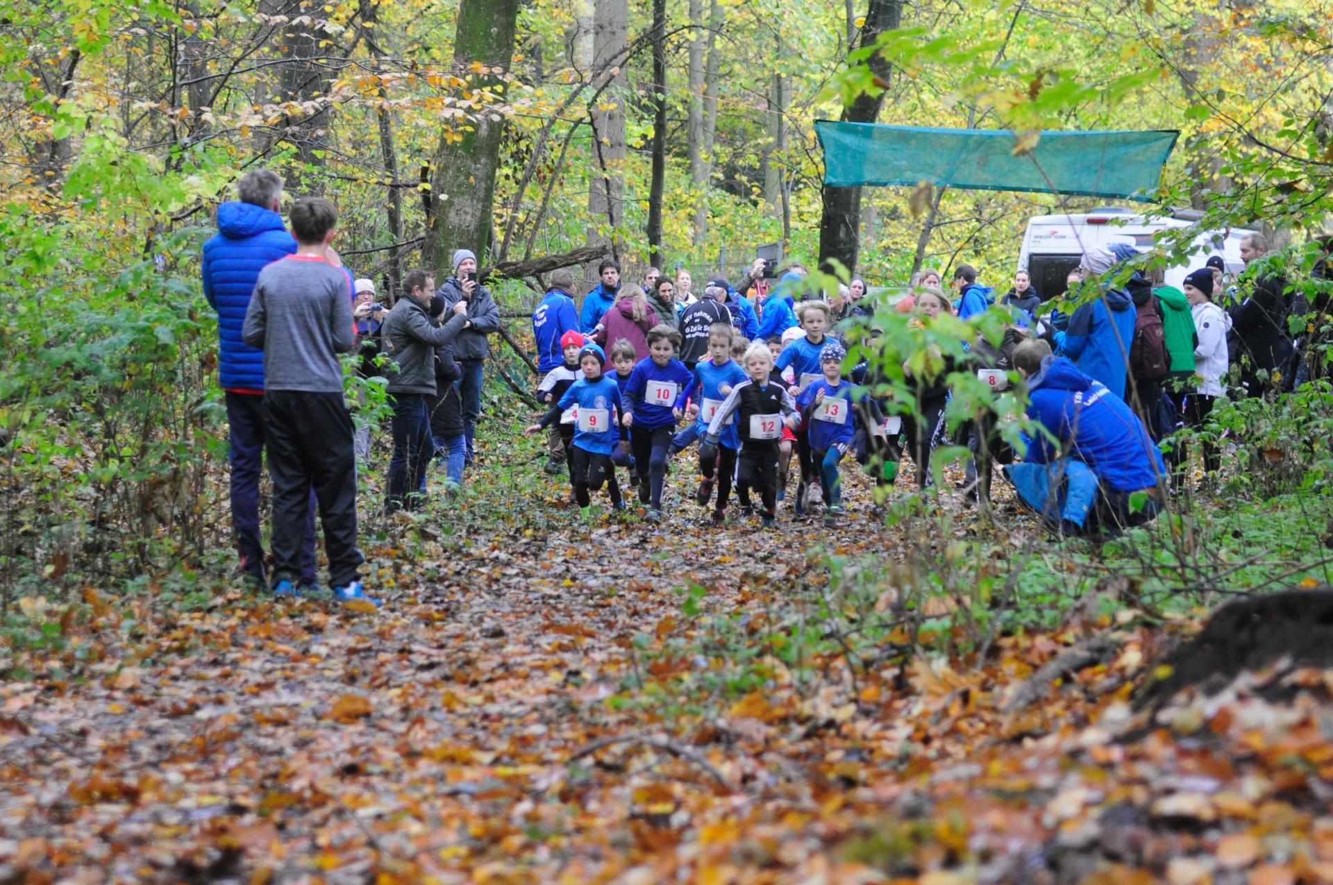 Foto der Galerie: 42. Tiergarten Crosslauf-01