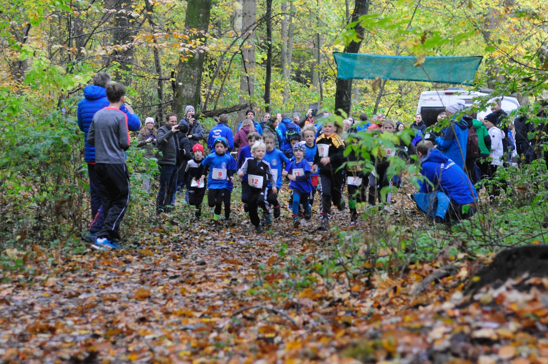 Foto der Galerie: 42. Tiergarten Crosslauf-01
