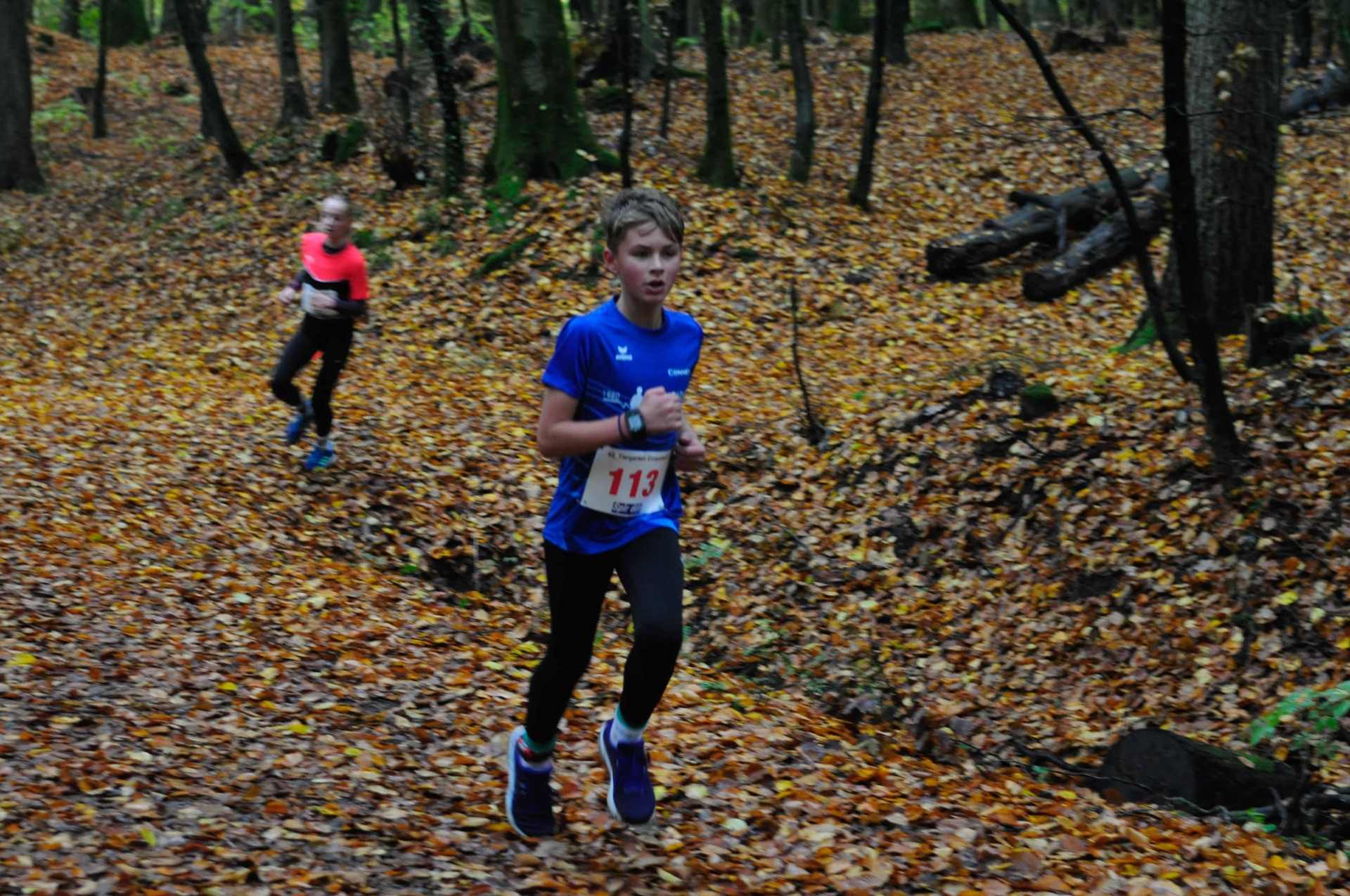 Foto der Galerie: 42. Tiergarten Crosslauf-01
