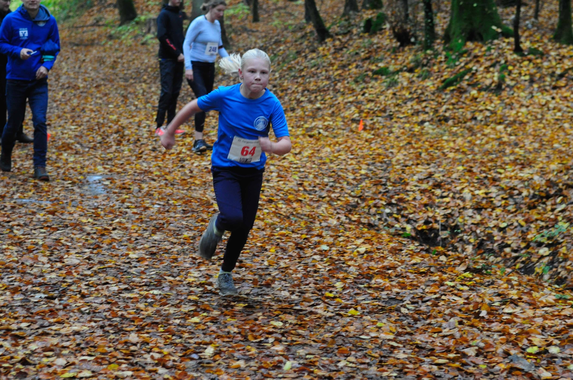 Foto der Galerie: 42. Tiergarten Crosslauf-01