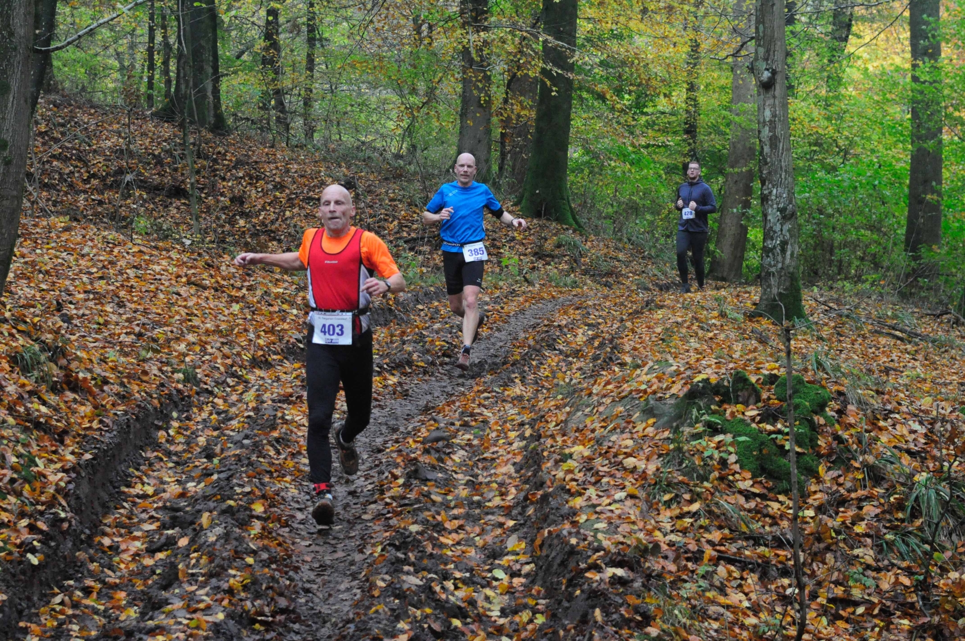 Foto der Galerie: 42. Tiergarten Crosslauf-02