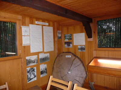 Vorschaubild der Galerie