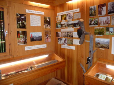 Vorschaubild der Galerie