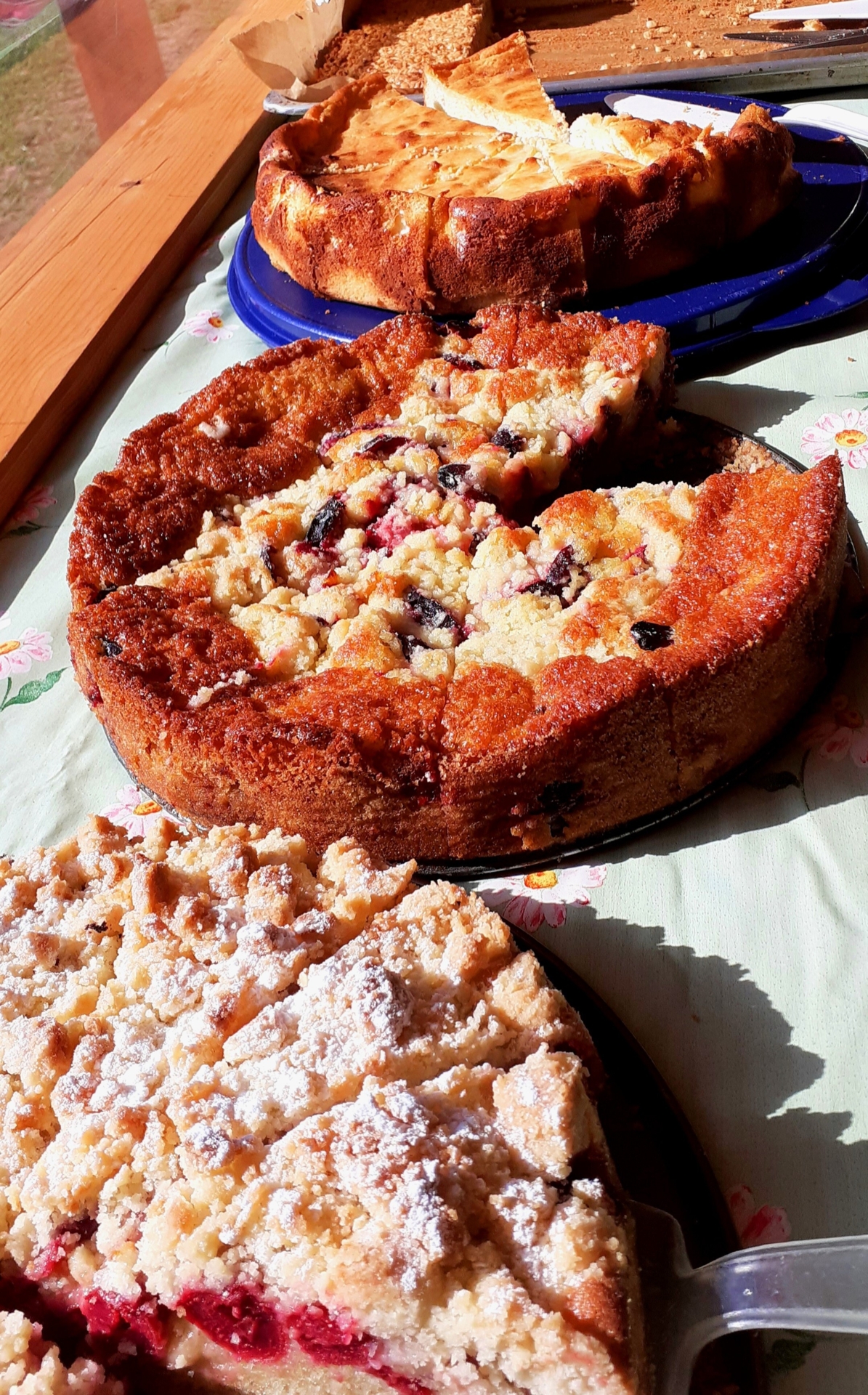 Noch anziehender auf die Besucher wirkt allerdings unser Kuchen.  (Bild vergr&ouml;&szlig;ern)