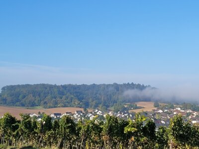 Vorschaubild: Blick vom Eselsberg Richtung Süden auf Flein und den Haigern