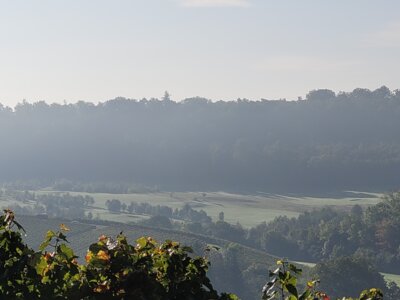 Vorschaubild: Blick vom Eselberg Richtung Süden auf den Golfplatz