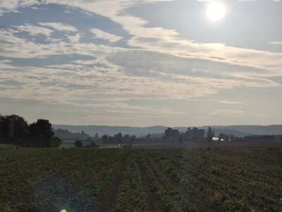 Vorschaubild: Blick von Westen nach Flein