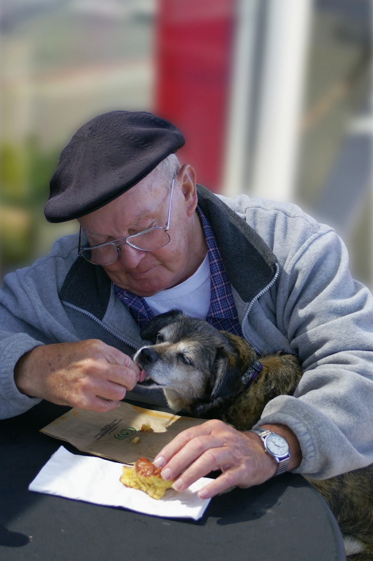 Tierliebe  (Bild vergr&ouml;&szlig;ern)
