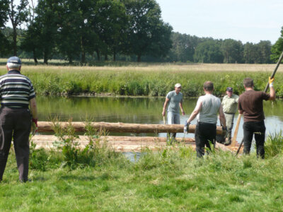 Vorschaubild der Galerie