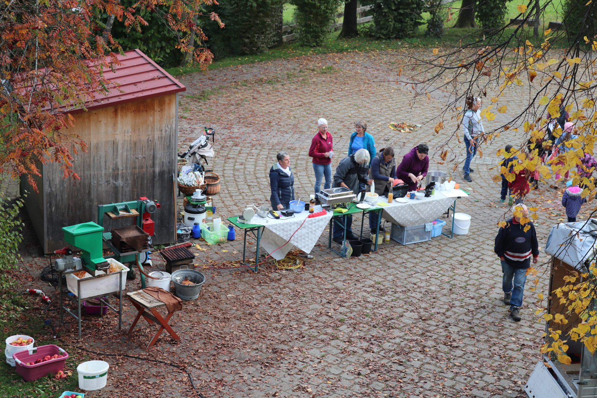 Bild der Galerie